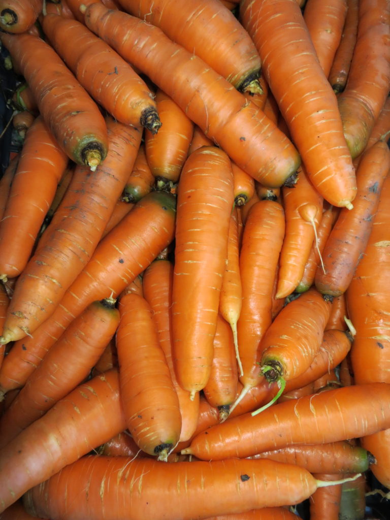 carote fresche e di stagione